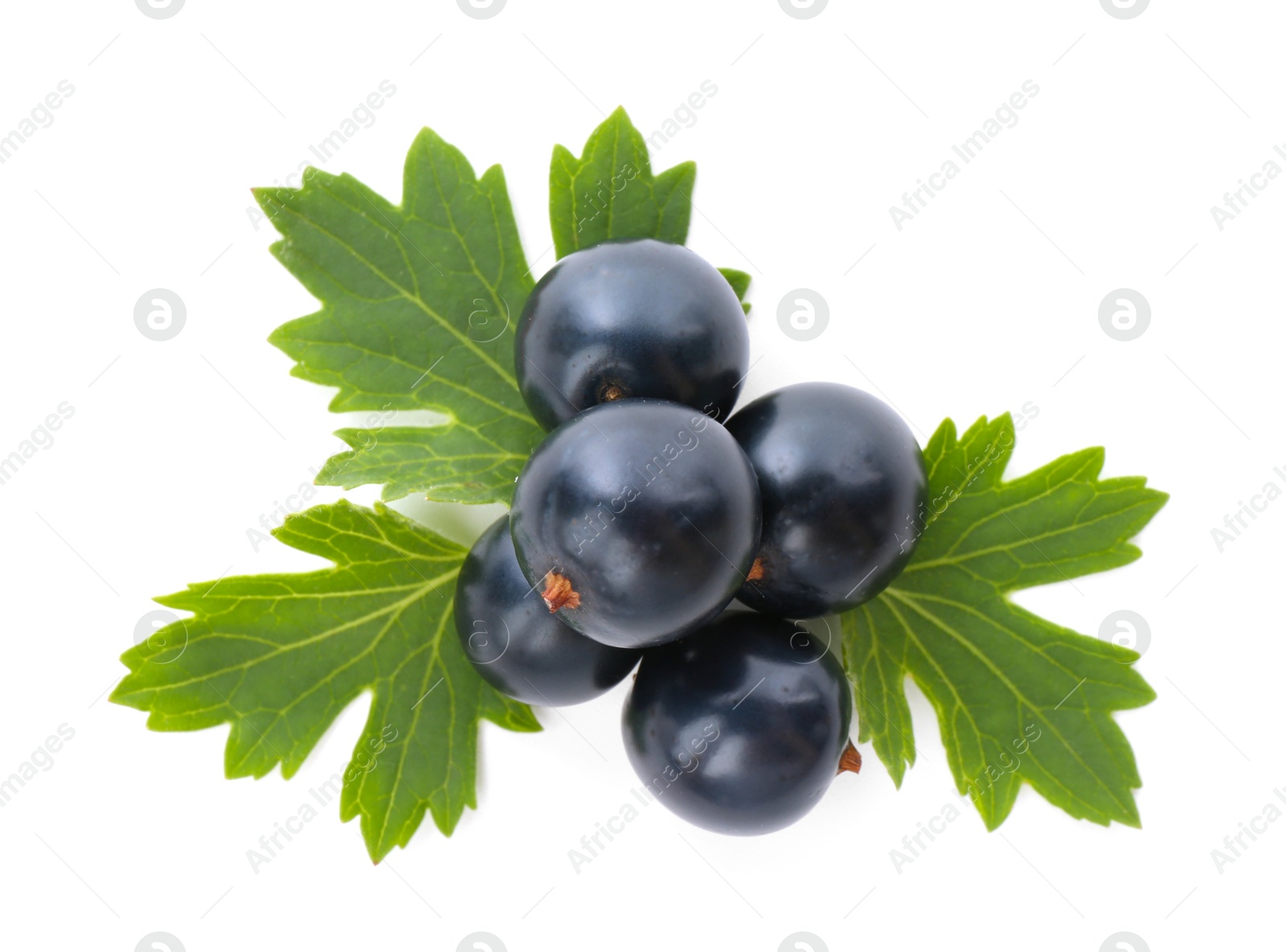 Photo of Ripe blackcurrants and green leaves isolated on white, top view