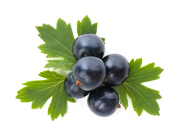 Ripe blackcurrants and green leaves isolated on white, top view