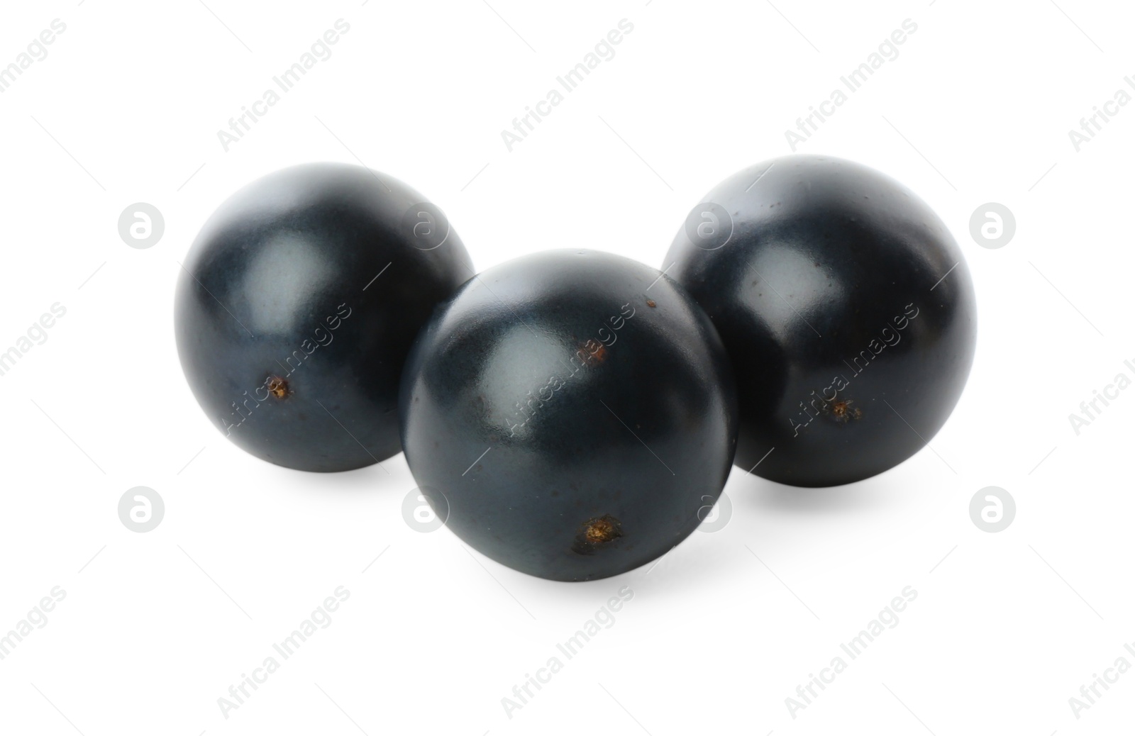 Photo of Three fresh ripe blackcurrants isolated on white