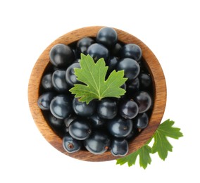 Bowl of ripe blackcurrants and green leaves isolated on white, top view