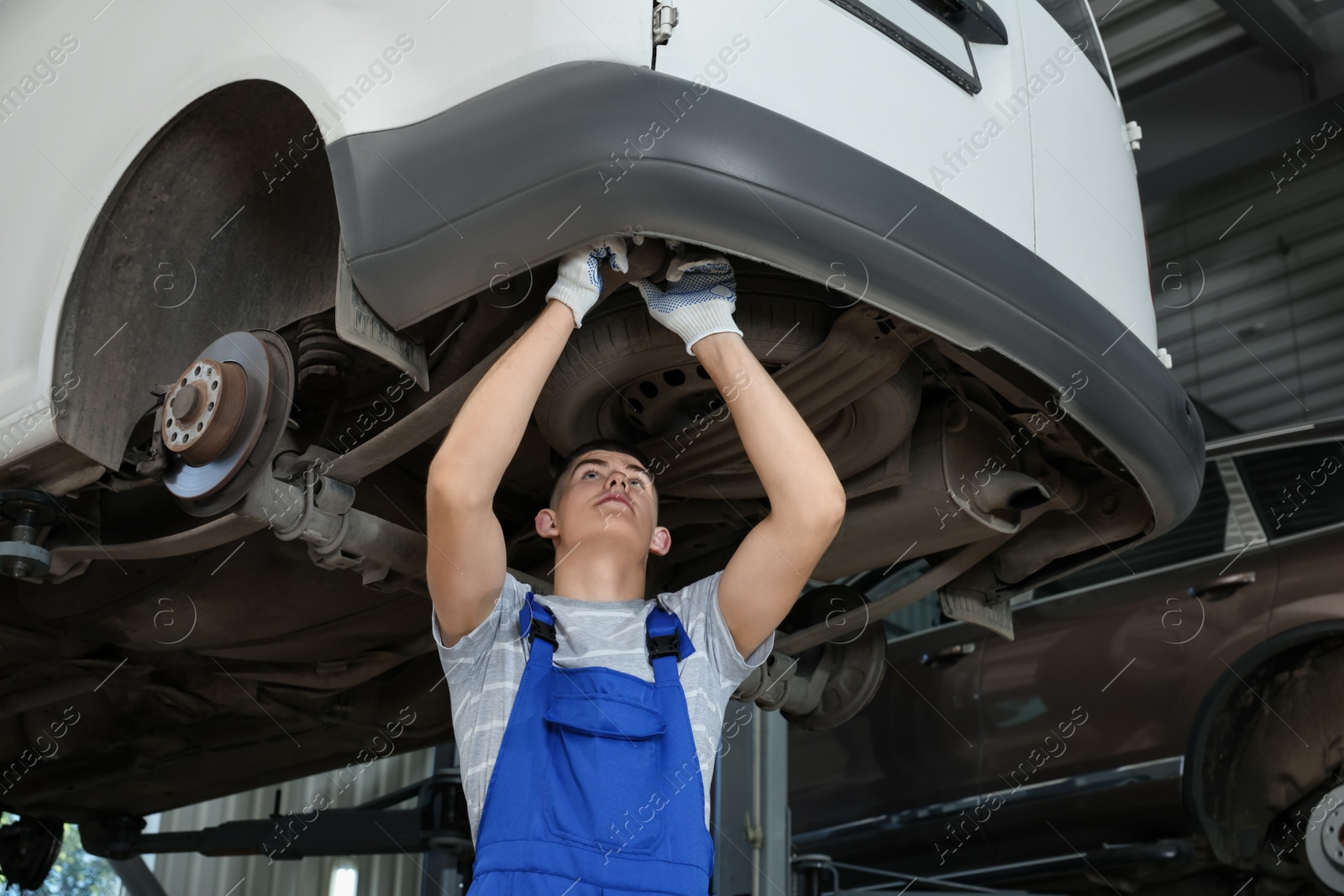 Photo of Young auto mechanic fixing lifted car at automobile repair shop, low angle view