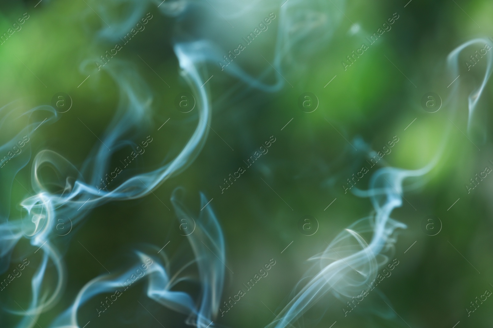 Photo of Smoke from incense stick on green blurred background