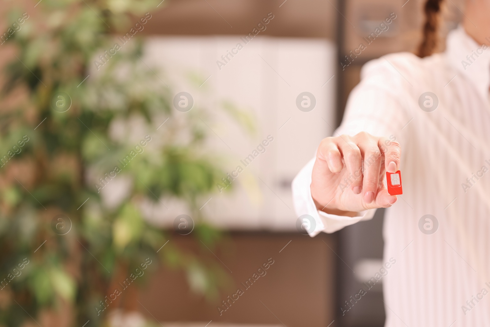 Photo of Woman holding SIM card indoors, closeup. Space for text