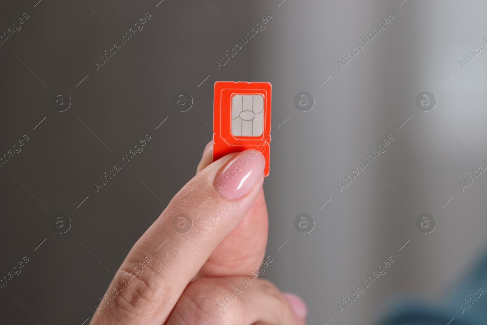 Photo of Woman holding SIM card indoors, closeup view