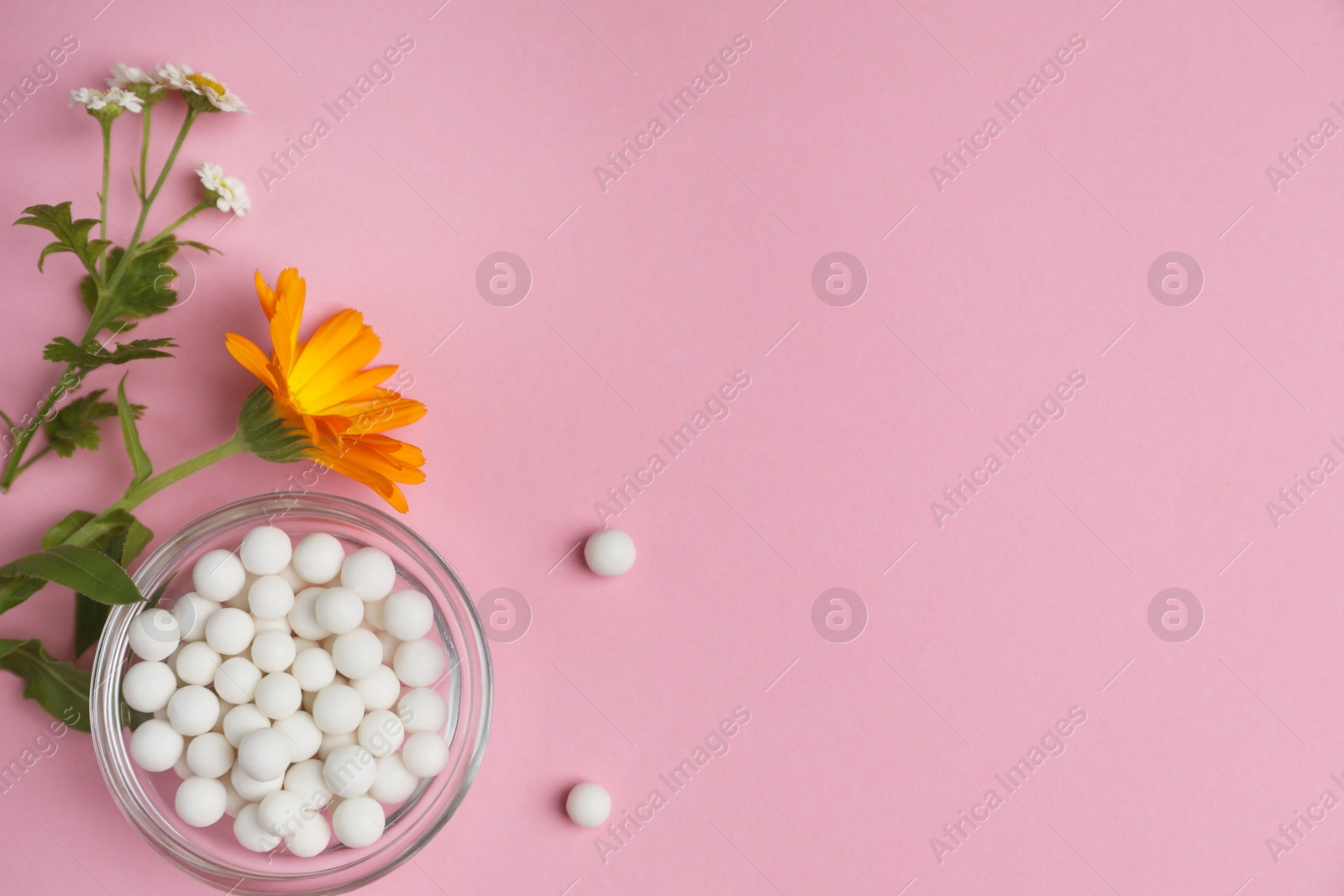 Photo of Homeopathic remedy. Pills in glass bowl, calendula and chamomile flowers on pink background, flat lay. Space for text