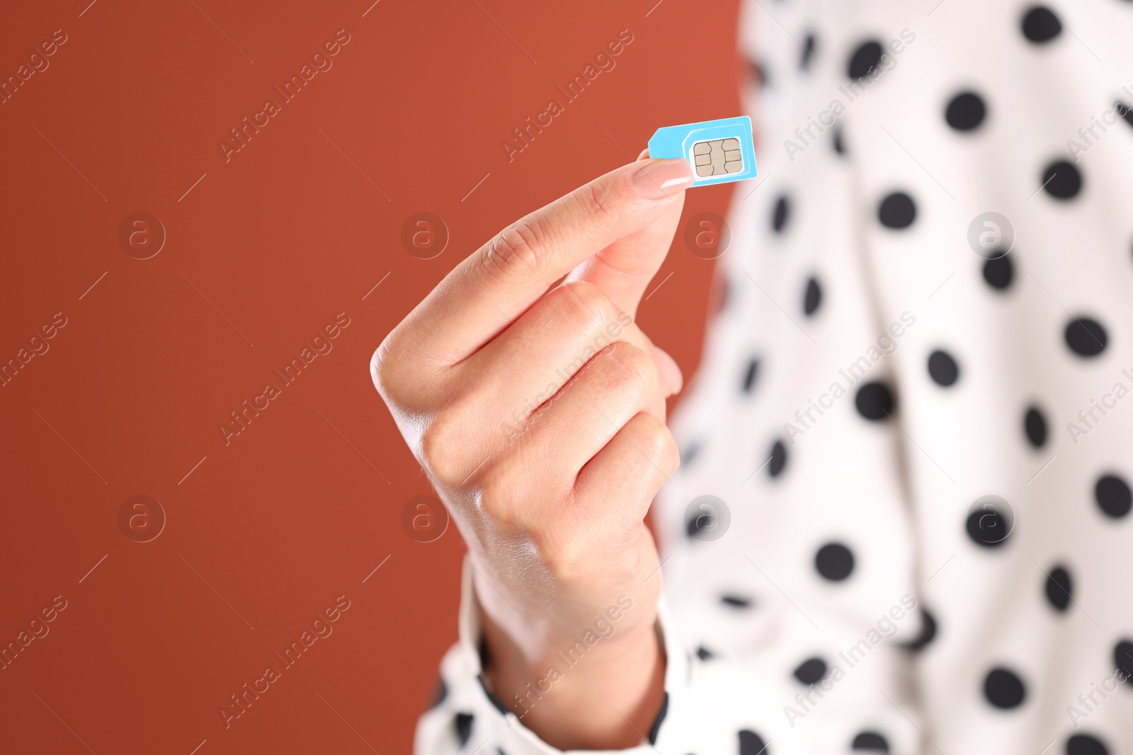 Photo of Woman holding SIM card on terracotta background, closeup