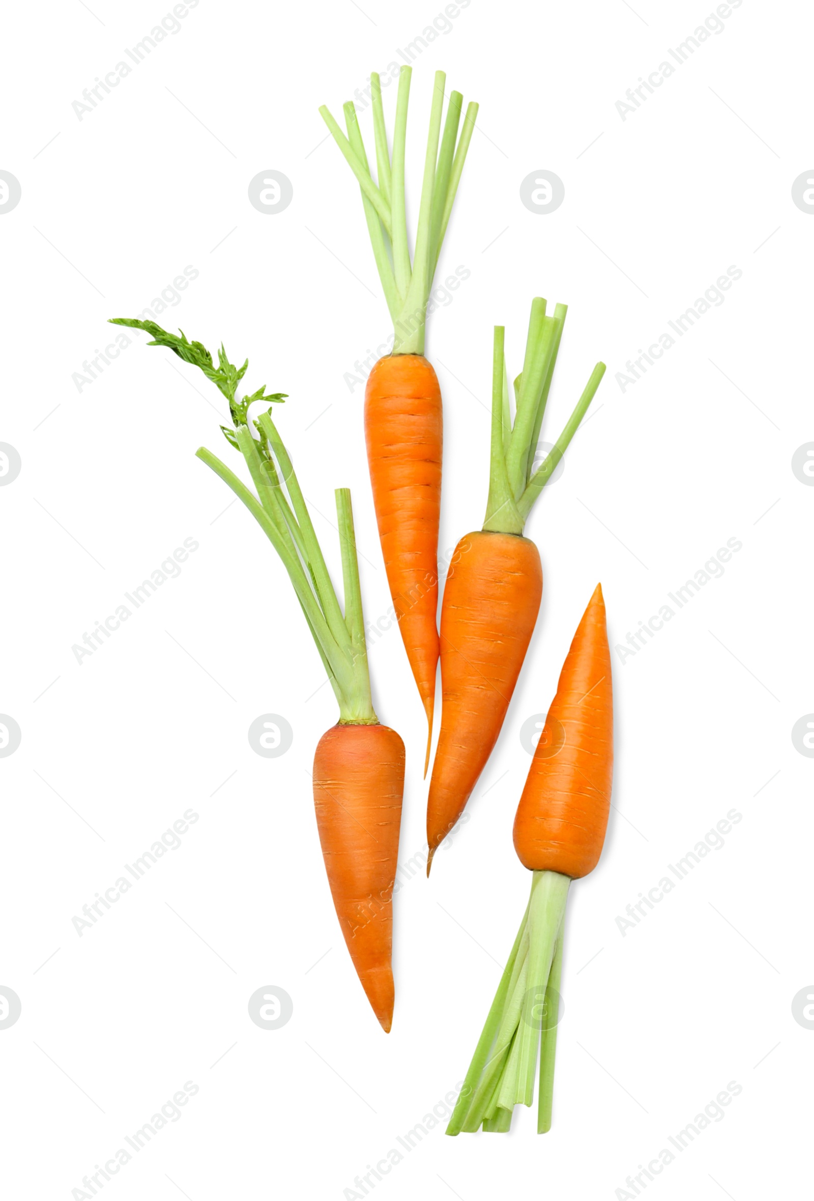 Photo of Tasty ripe juicy carrots isolated on white, top view