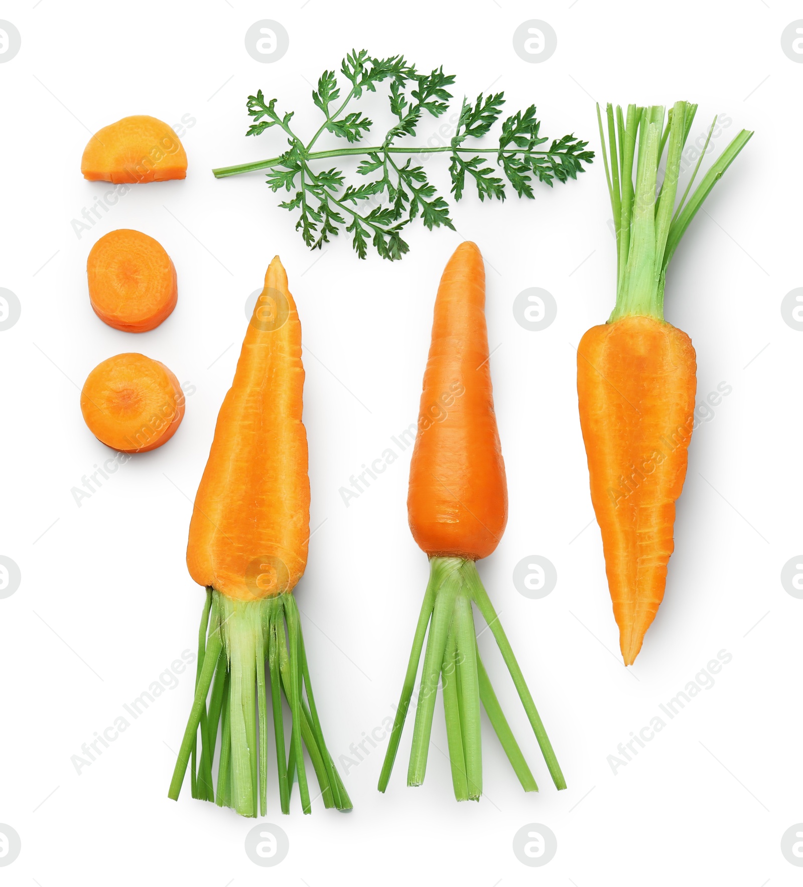 Photo of Whole and cut fresh carrots isolated on white, top view