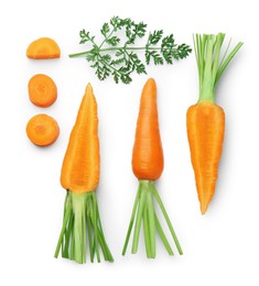 Photo of Whole and cut fresh carrots isolated on white, top view