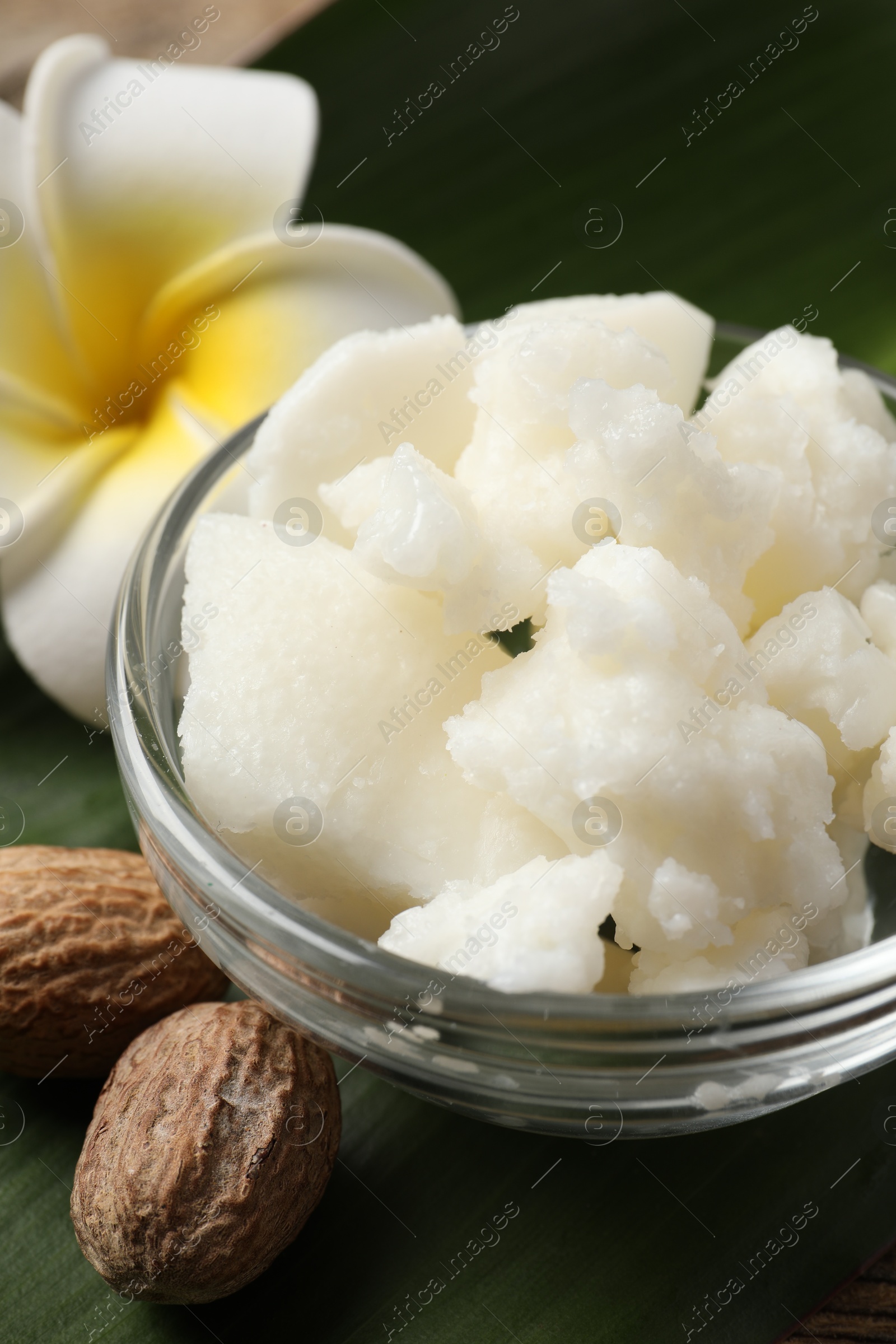 Photo of Shea butter in bowl, flower and nuts on table, closeup