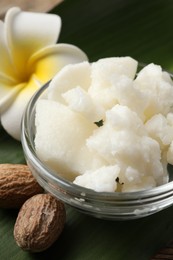 Shea butter in bowl, flower and nuts on table, closeup