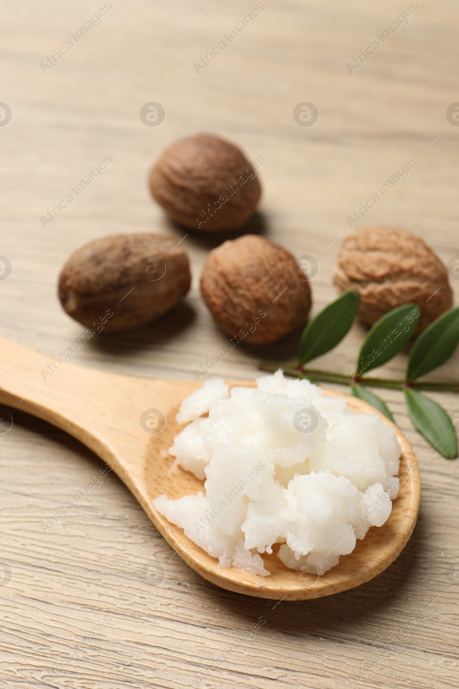 Photo of Shea butter in spoon and nuts on wooden table, closeup