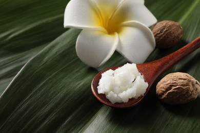 Photo of Shea butter in spoon, flower and nuts on leaves, closeup. Space for text