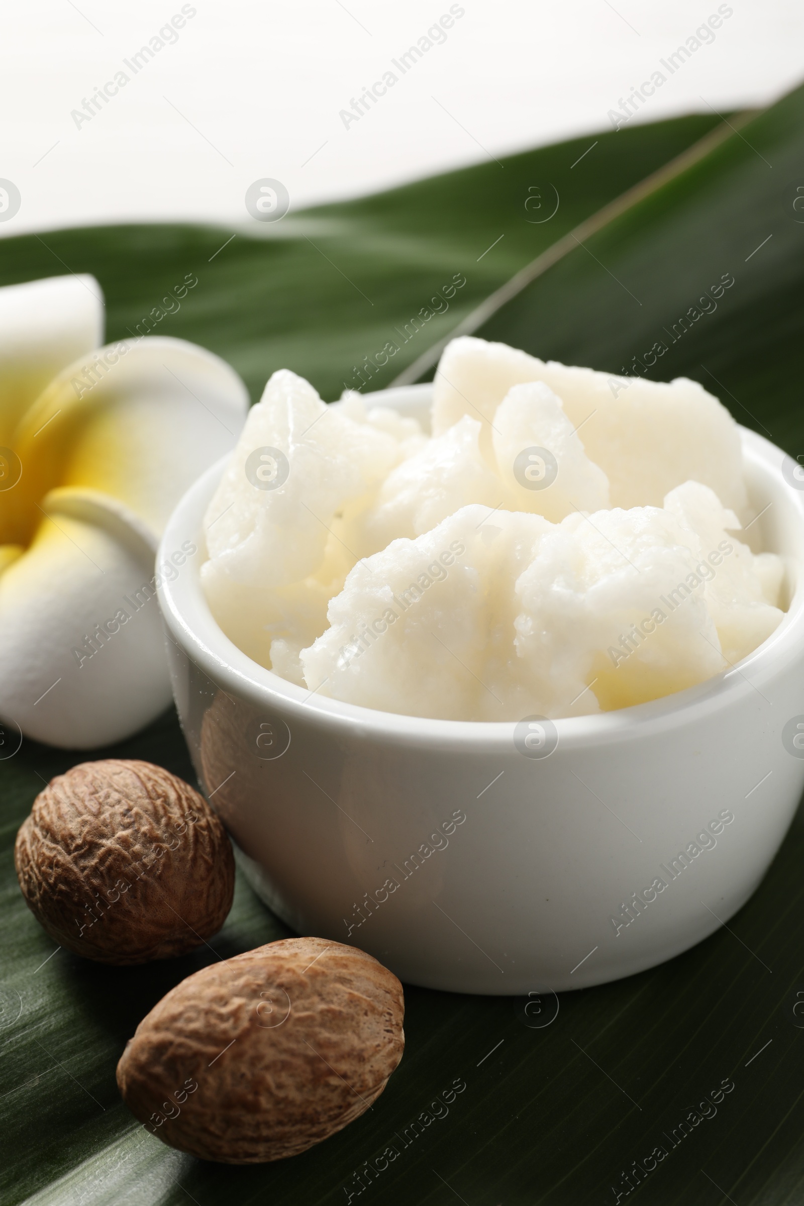 Photo of Shea butter in bowl, flower and nuts on table, closeup