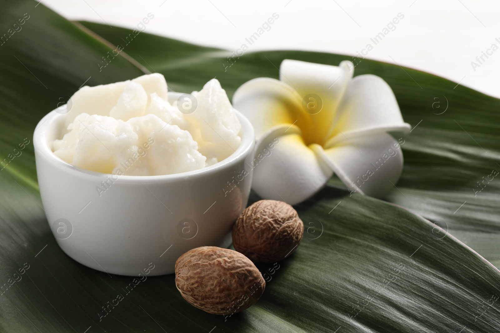 Photo of Shea butter in bowl, flower and nuts on table, closeup