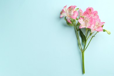 Photo of Beautiful alstroemeria flowers on light blue background, top view. Space for text