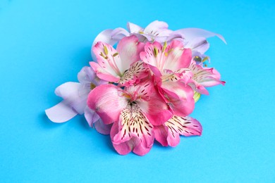 Beautiful alstroemeria flowers and ribbon on light blue background