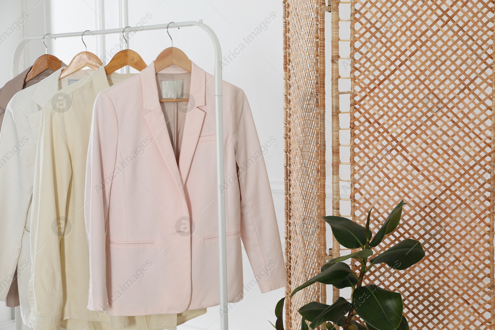 Photo of Folding screen, rack with clothes houseplant near white wall indoors