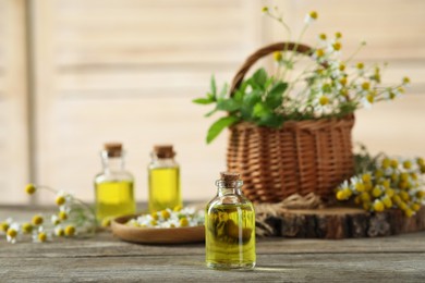 Bottles of essential oils, beautiful chamomile flowers and mint on wooden table