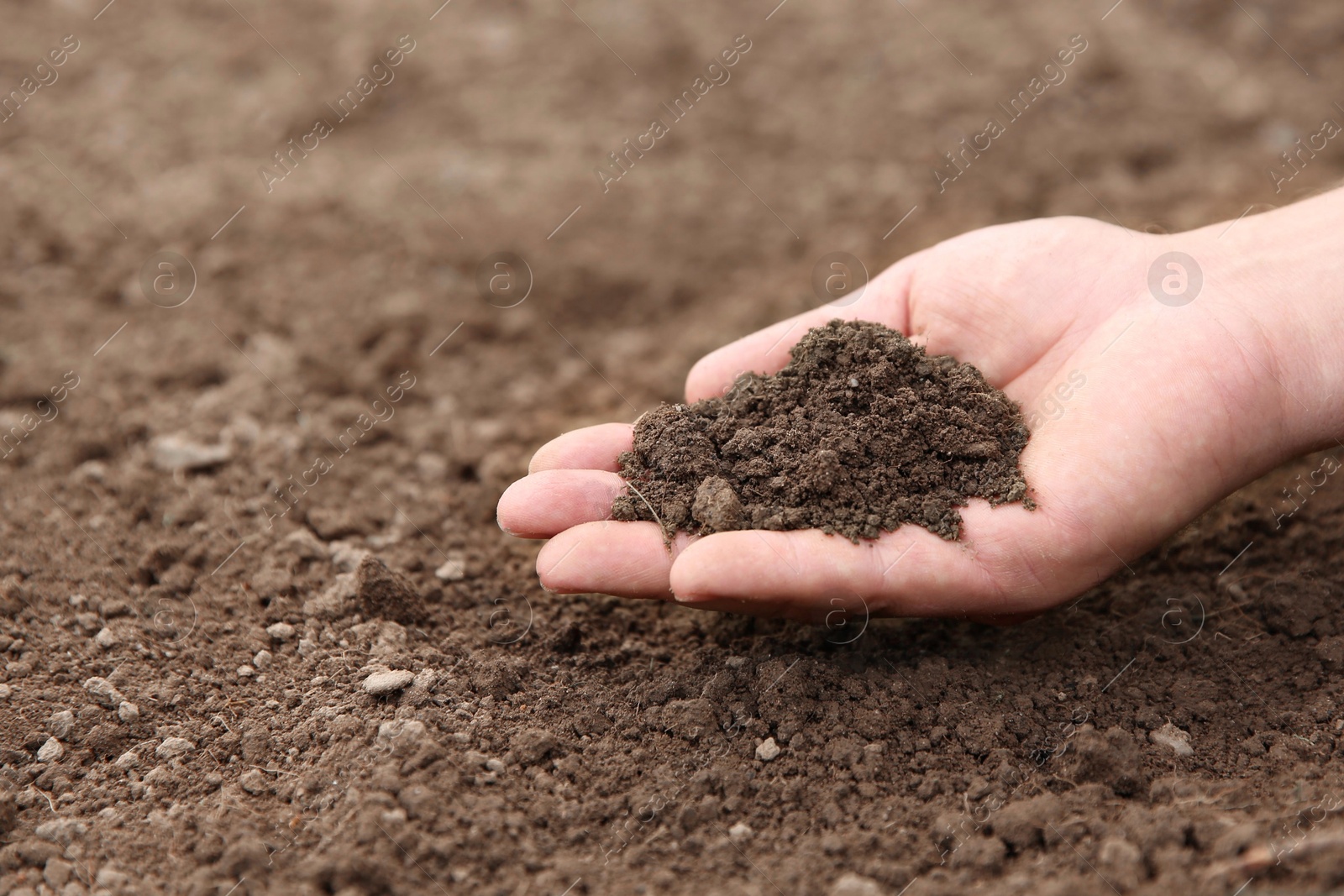 Photo of Woman holding pile of soil outdoors, closeup. Space for text