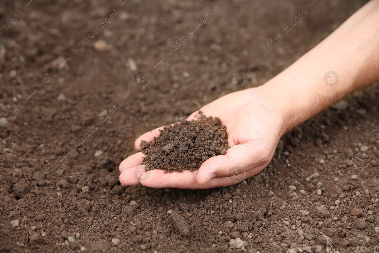 Photo of Woman holding pile of soil outdoors, closeup. Space for text