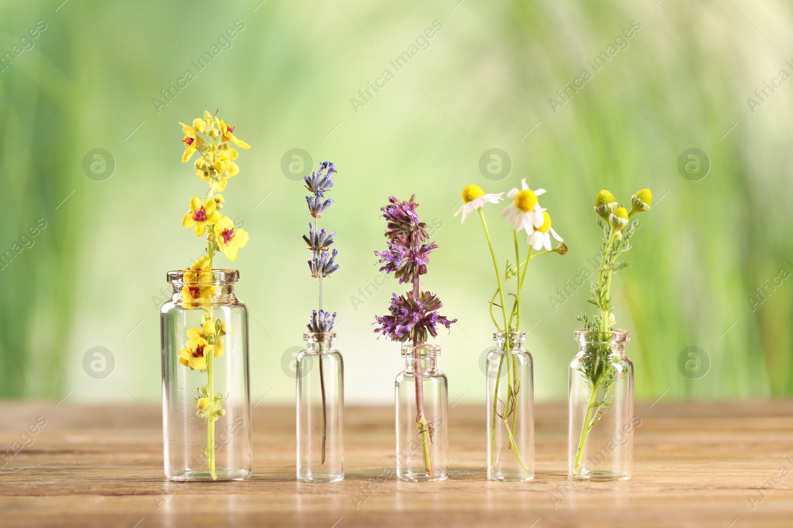 Photo of Different healing herbs in bottles on wooden table