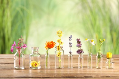 Different healing herbs in bottles on wooden table