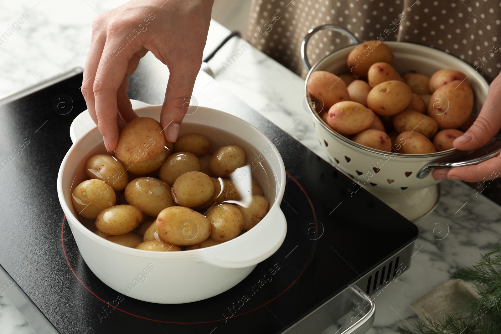 Photo of Woman putting potato into metal pot on stove, closeup