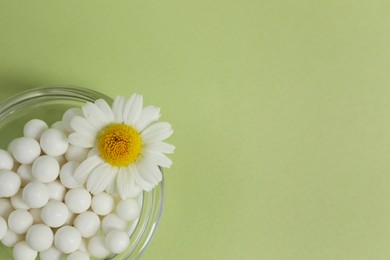 Photo of Homeopathic remedy and chamomile in bowl on light green background, top view. Space for text