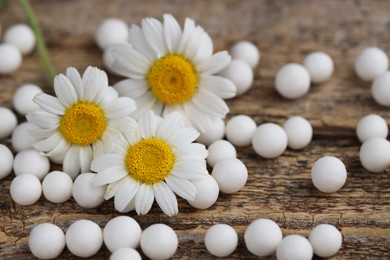 Homeopathic remedy. Many pills and chamomile flowers on wooden table, closeup