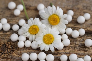 Homeopathic remedy. Many pills and chamomile flowers on wooden table, closeup