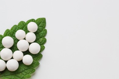 Photo of Homeopathic remedy. Many round pills and green leaf on white background, top view. Space for text