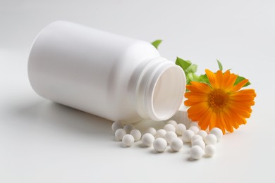 Photo of Homeopathic remedy. Bottle with many pills and calendula flower on white background