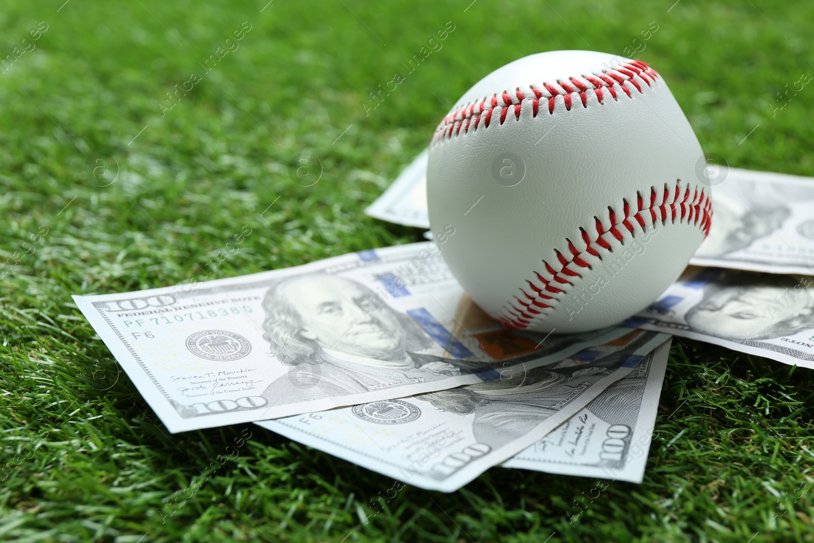 Photo of Baseball ball and dollar banknotes on green grass outdoors, closeup