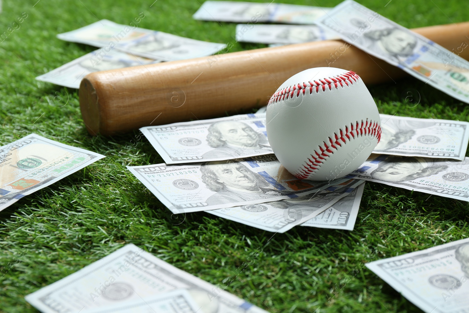 Photo of Baseball ball, bat and dollar banknotes on green grass outdoors