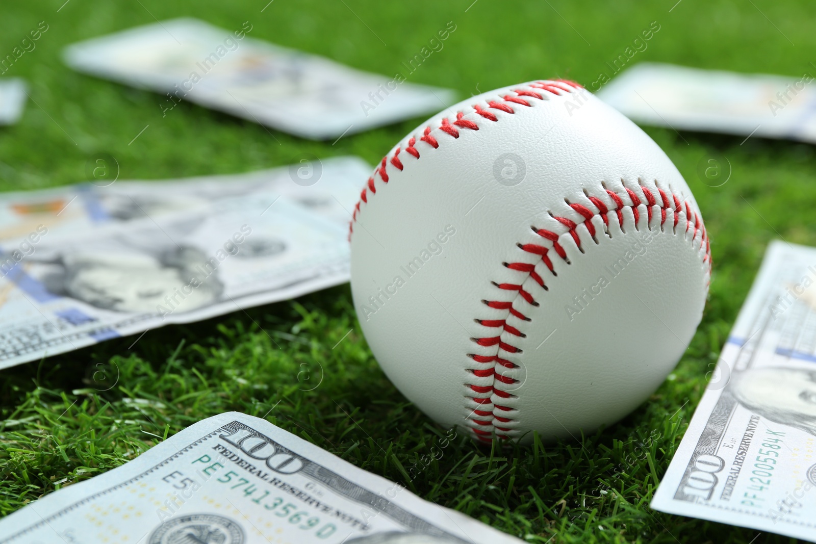 Photo of Baseball ball and dollar banknotes on green grass outdoors, closeup