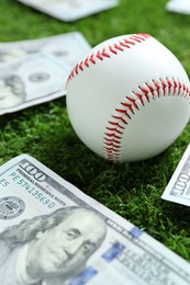 Photo of Baseball ball and dollar banknotes on green grass outdoors, closeup