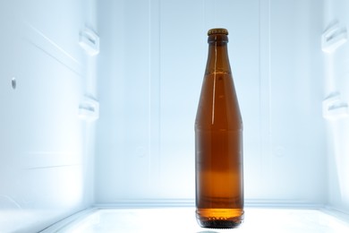 Photo of One bottle of drink in refrigerator, closeup. Space for text