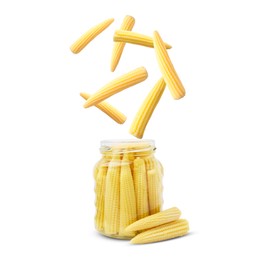 Image of Baby corn cobs falling into jar on white background