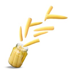 Image of Jar with baby corn cobs in air on white background