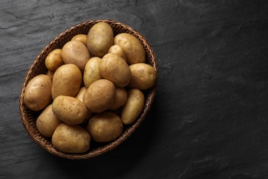 Many fresh potatoes in wicker basket on black textured table, top view. Space for text