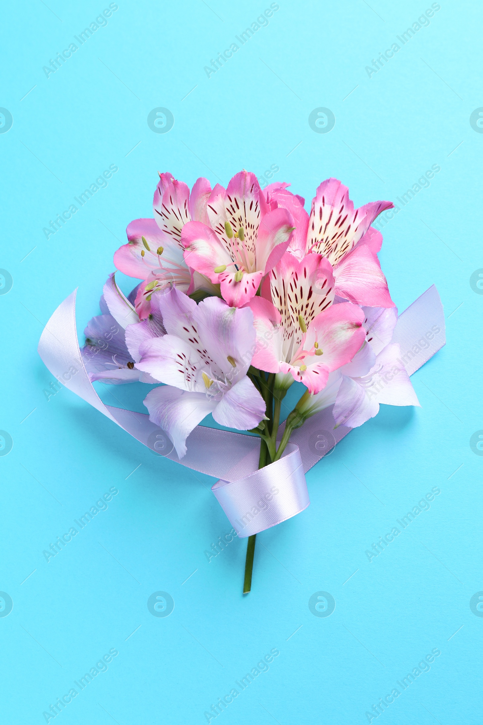 Photo of Beautiful alstroemeria flowers and ribbon on light blue background, top view