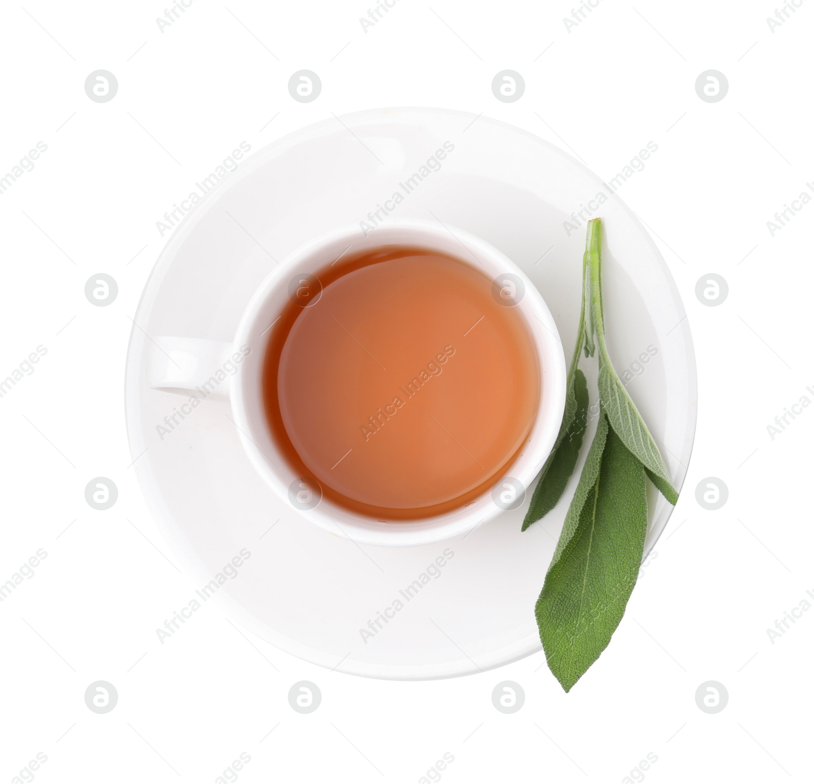 Photo of Aromatic herbal tea in cup with sage isolated on white, top view