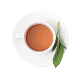 Aromatic herbal tea in cup with sage isolated on white, top view