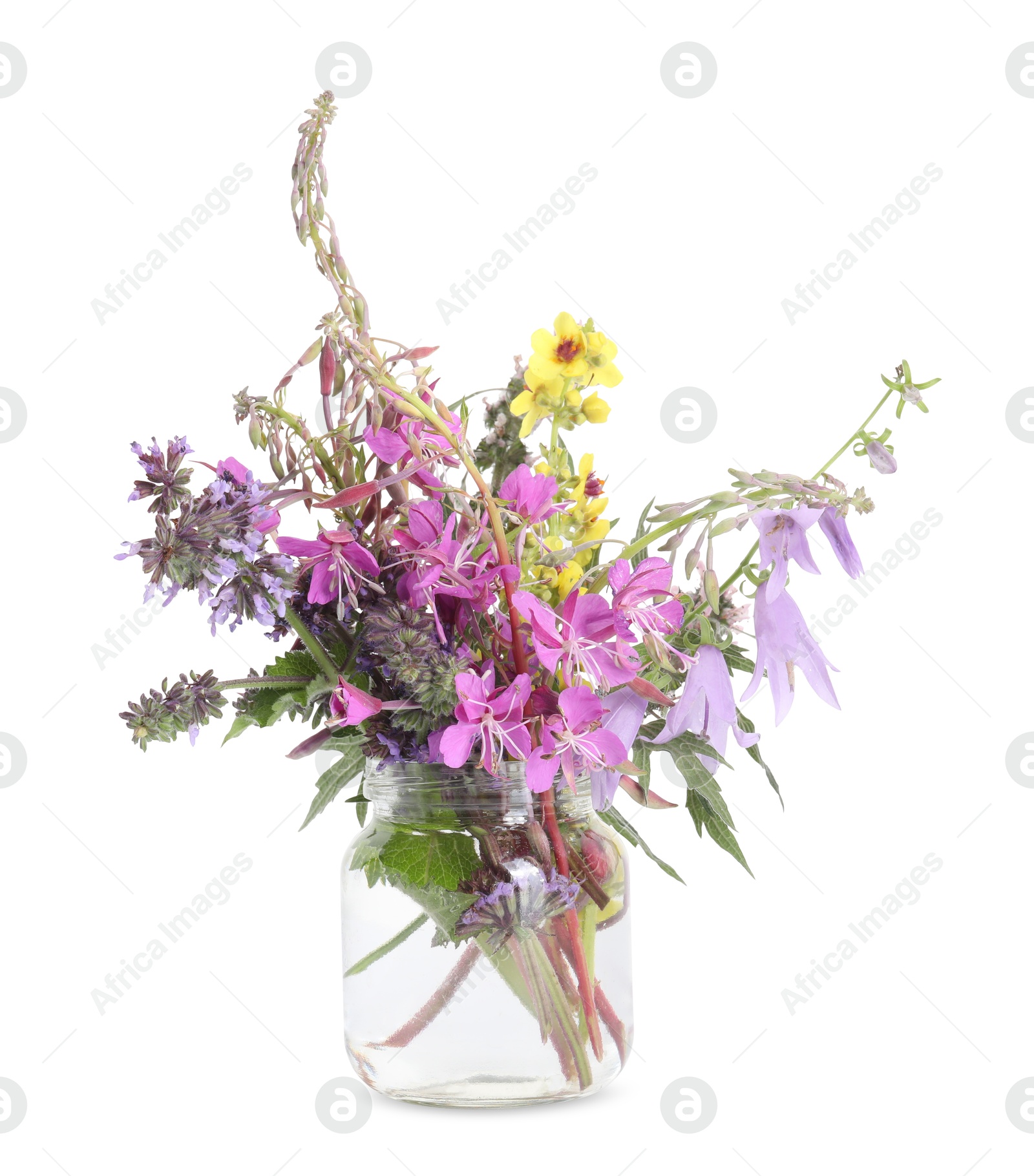 Photo of Bouquet of natural healing herbs isolated on white