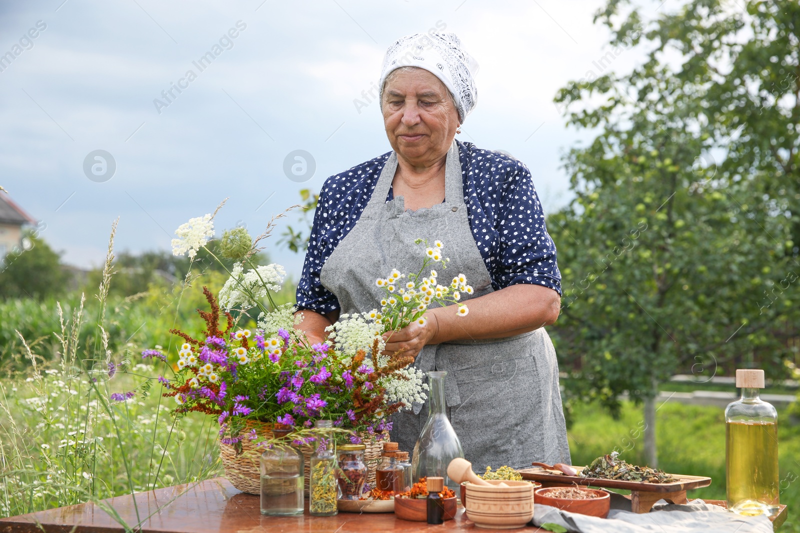 Photo of Senior woman making tincture at table outdoors