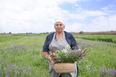 Photo of Senior woman with wildflowers for tincture outdoors