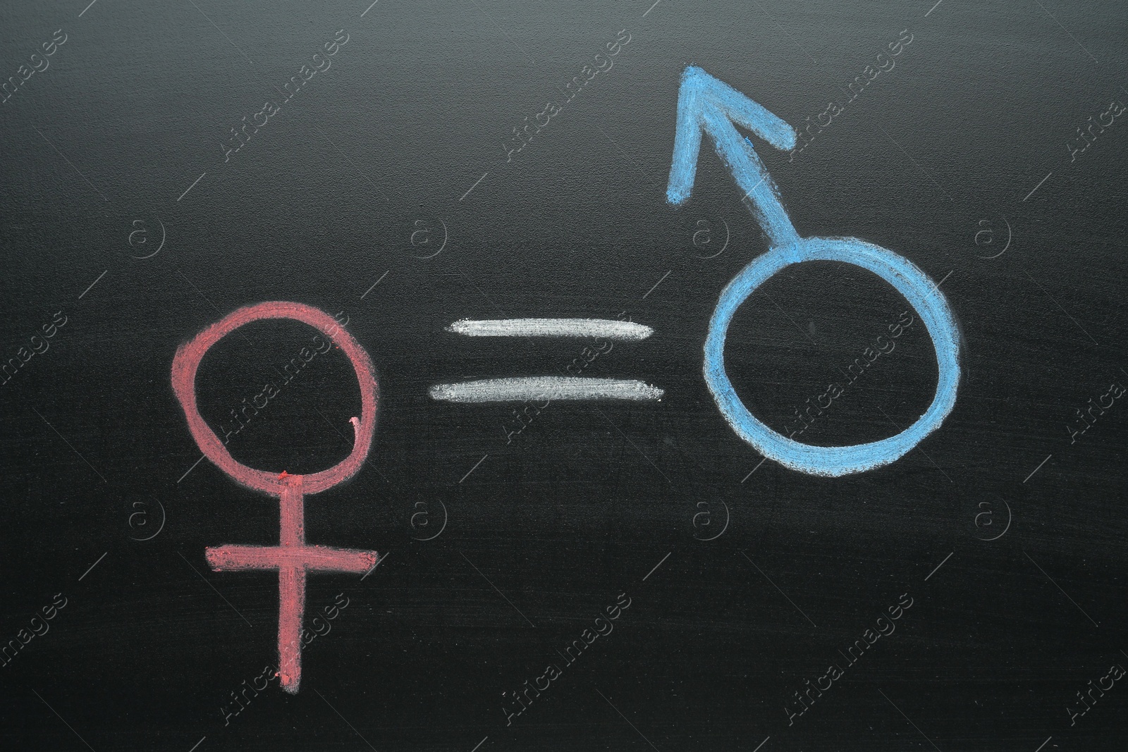 Photo of Equals sign between female and male gender symbols drawn on chalkboard, top view