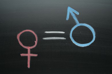 Equals sign between female and male gender symbols drawn on chalkboard, top view