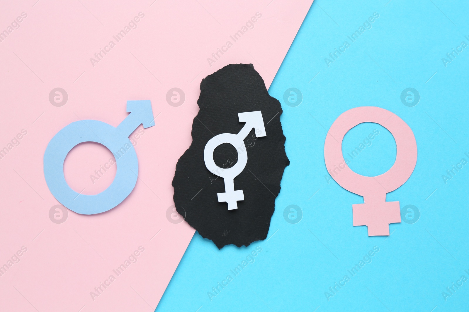 Photo of Gender equality concept. Male and female symbols on color background, flat lay